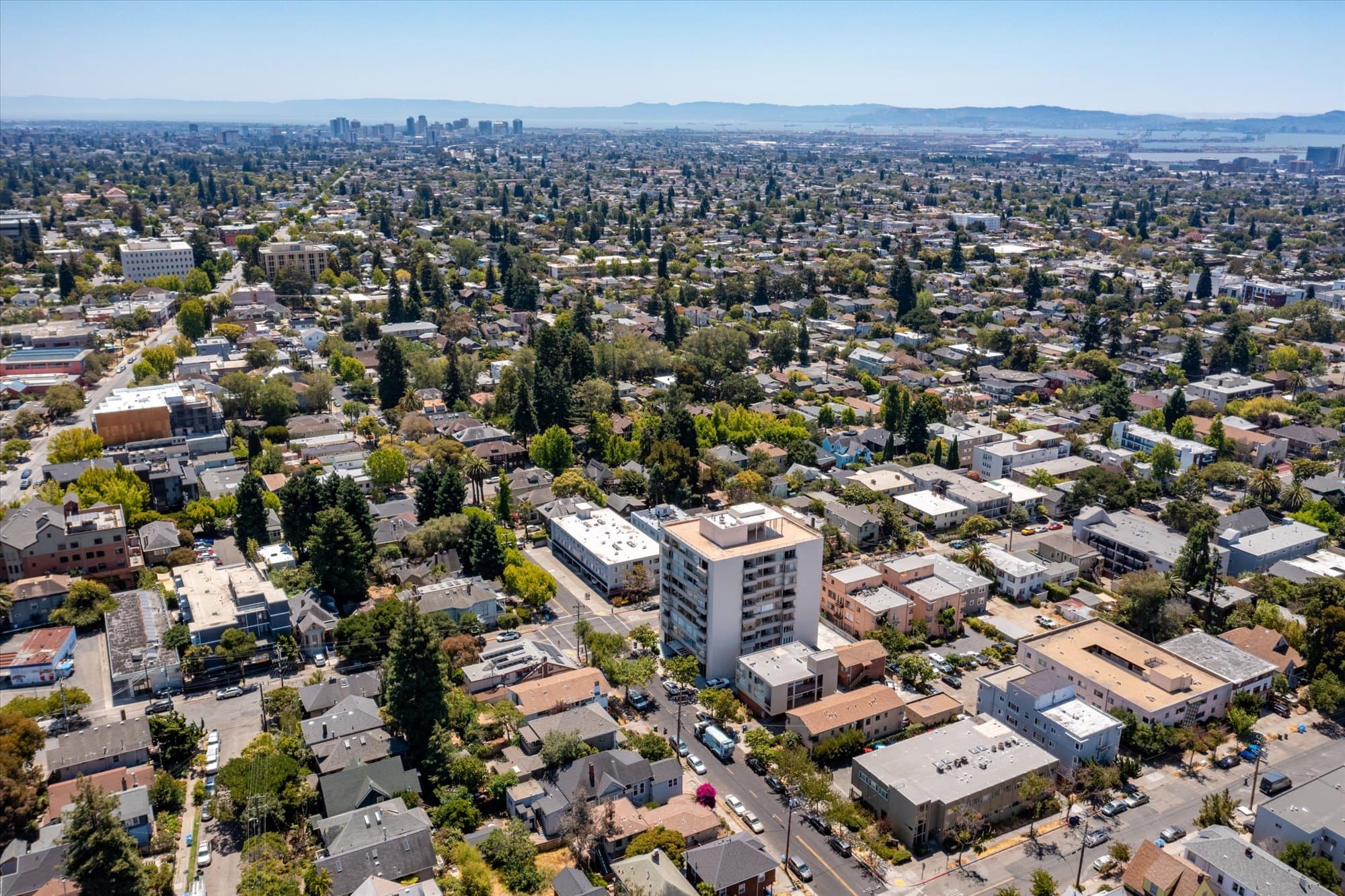 2531 Dana Street - 3 - 4b04cf9405cb4530b066af5b56e116f9.jpg