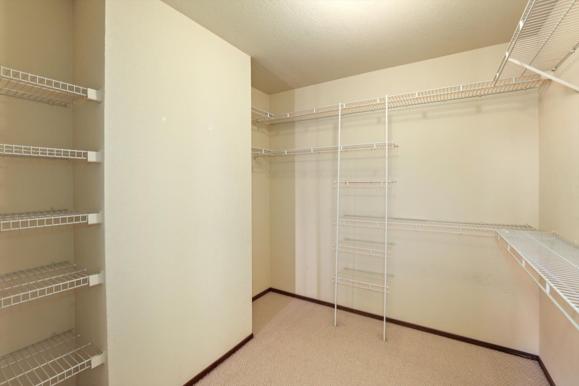 34267 Quartz Terrace - 25451029dd73488d82b11ad3f8c46929.jpg