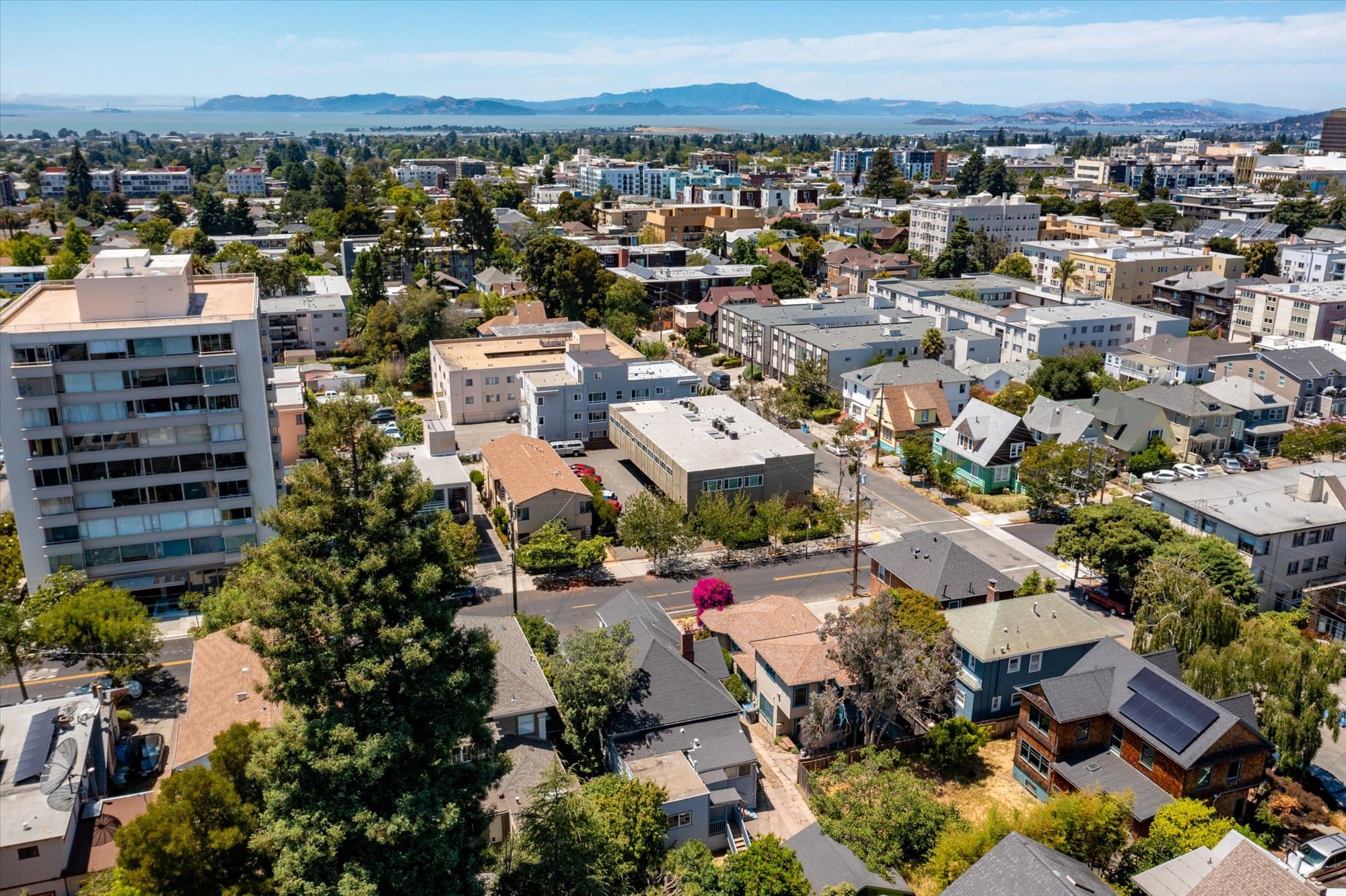 2531 Dana Street - 1 - 4fd5f6cdcaec437abf2728ad45dc6adb.jpg